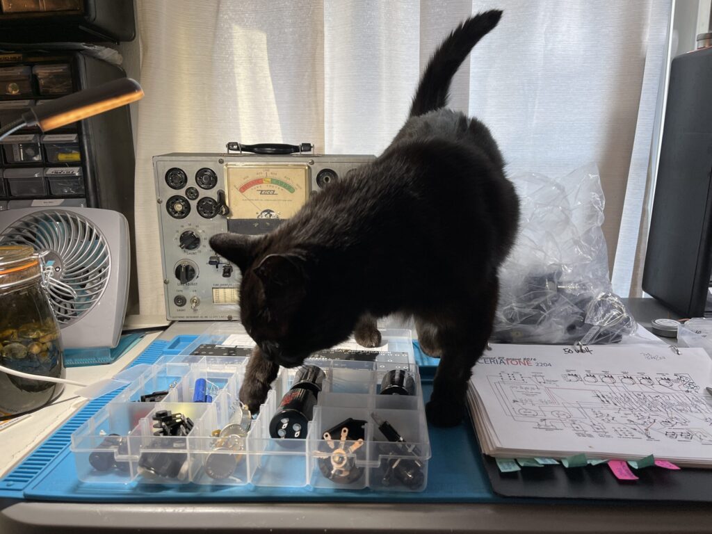 DeathCap Amplification