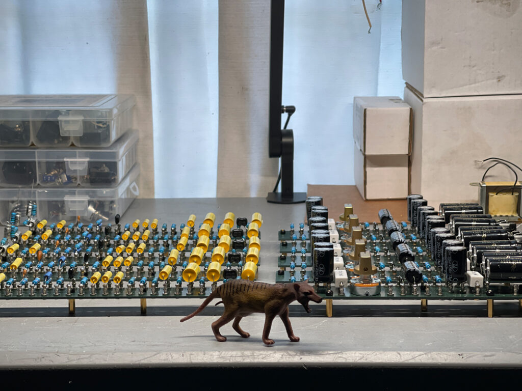 Building the DeathCap Thylacine Model T Clone Building the DeathCap Thylacine Model T Clone