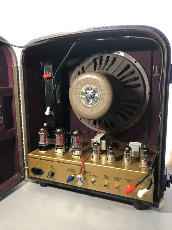 Fender Princeton Blue BH Cab