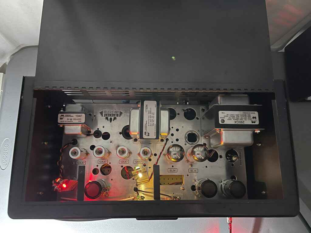 2021 Marshall JCM800 Ham Radio 2021 Marshall JCM800 Ham Radio