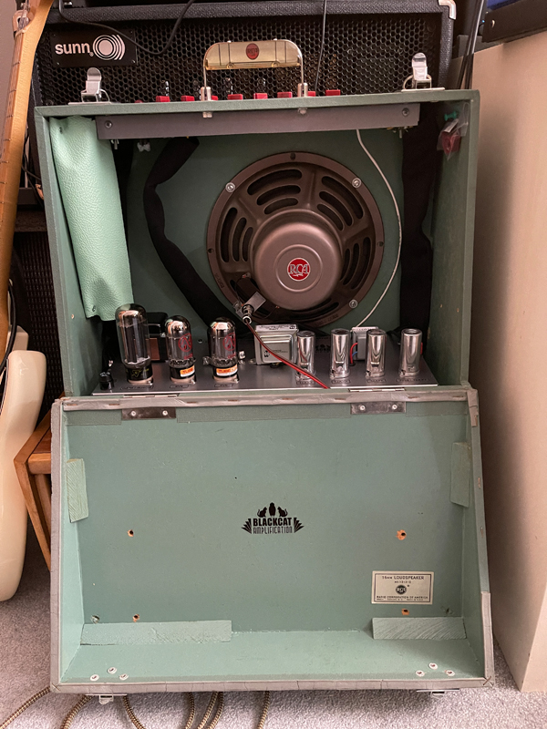 Fender Princeton RCA Speaker Cab Fender Princeton RCA Speaker Cab