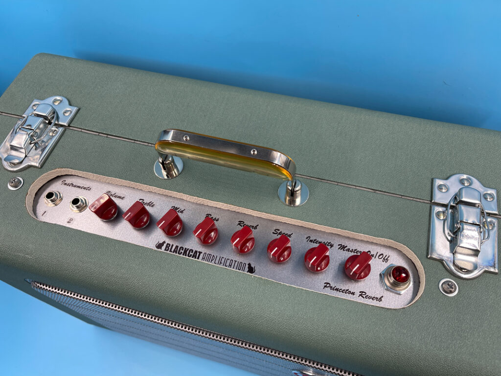 Fender Princeton RCA Speaker Cab Fender Princeton RCA Speaker Cab