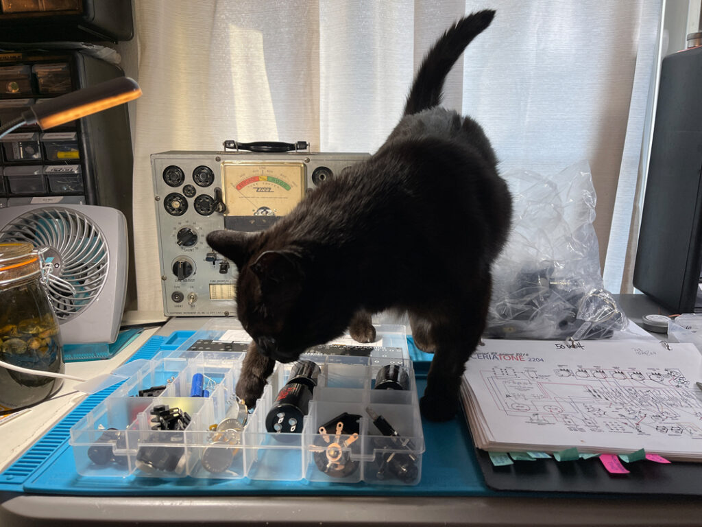 dca-stock-IMG-0633 (1)