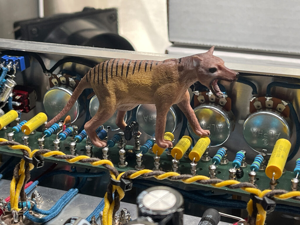 dca-stock-Thylacine